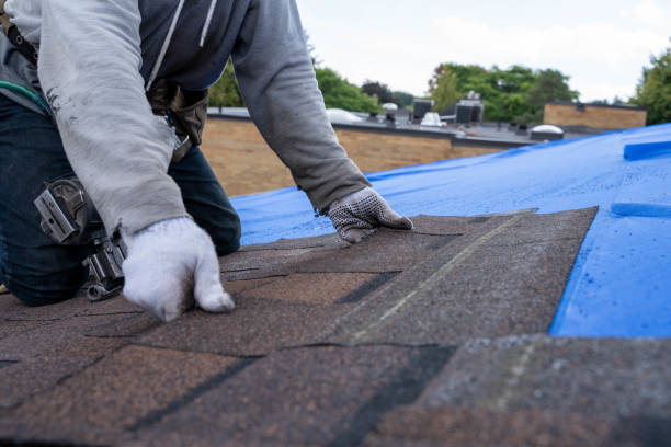 Gutter Installation and Roofing in Sparta, NC